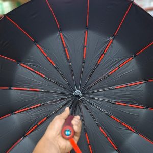 BMW Auto Open & Close Umbrella - 16 Ribs | Premium Quality